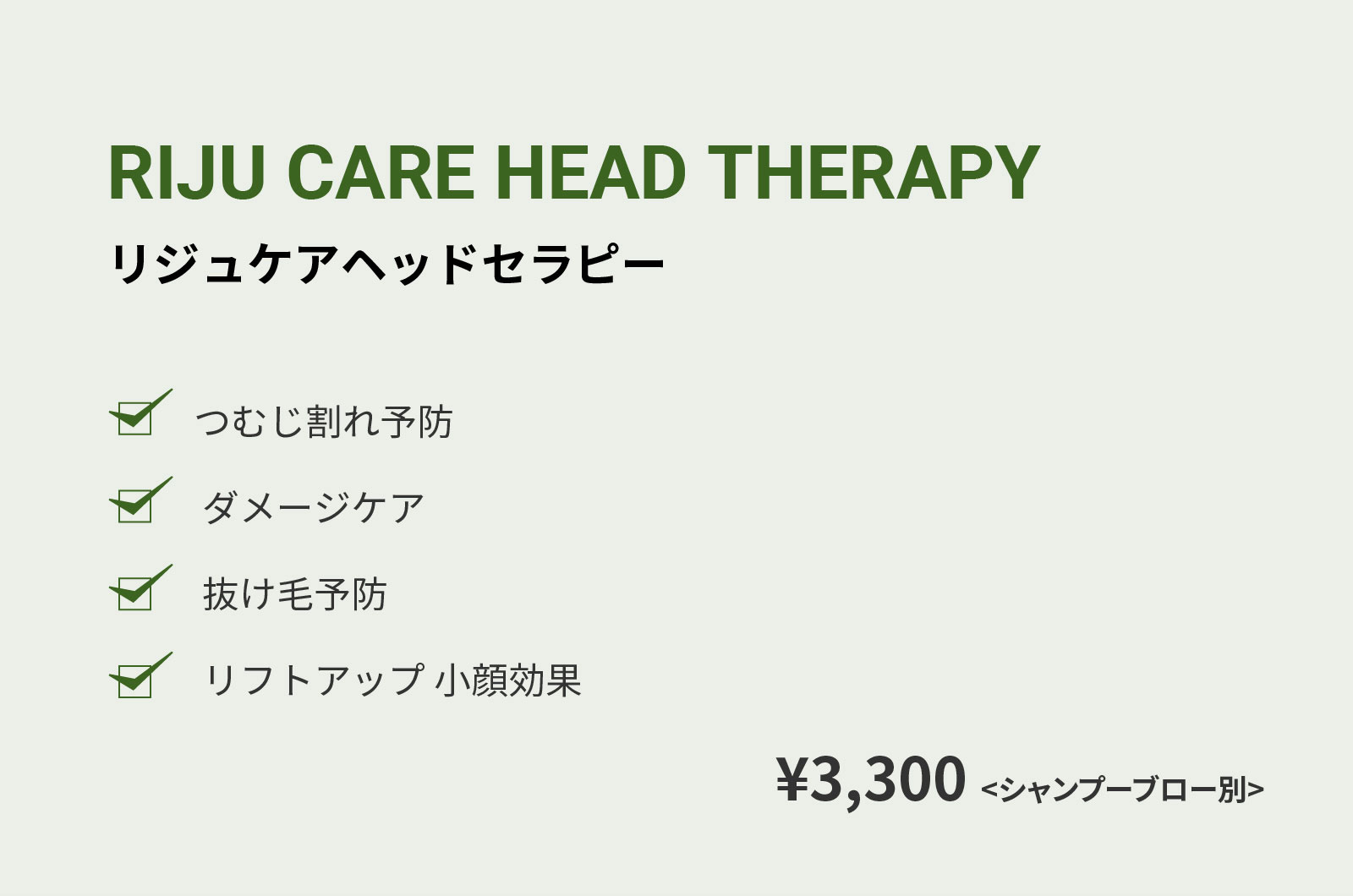 RIJU CARE HEAD THERAPY リジュケアヘッドセラピー